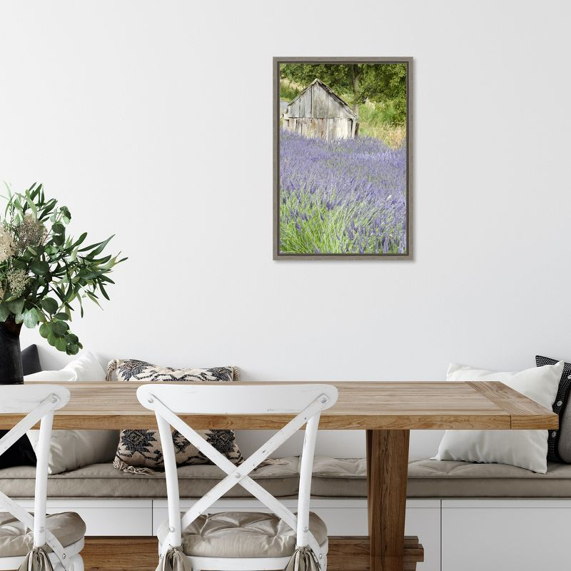 Amanti Art Lavender field and small shed by Janell Davidson Danita Delimont Canvas Wall Art Print Framed 16 x 23-in.