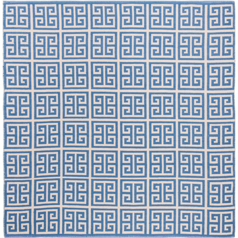 Montauk MTK724 Hand Woven Area Rug - Blue/Ivory - 6'x6' - Safavieh.