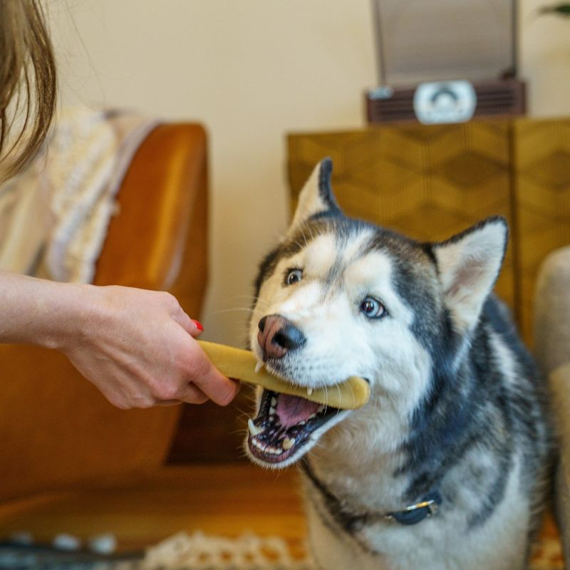 Mighty Paw Yak Cheese Chews