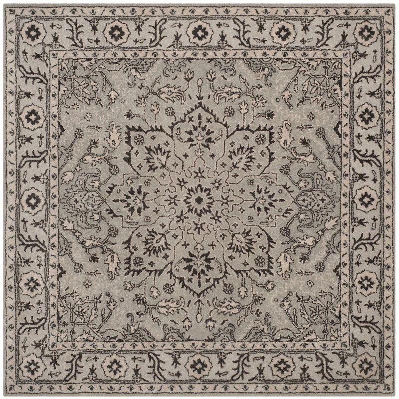 Antiquity AT58 Hand Tufted Area Rug - Grey/Beige - 6'x6' - Safavieh.