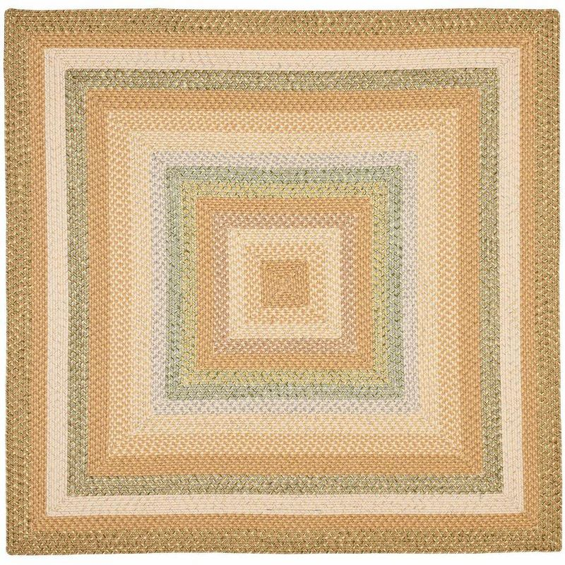 Braided BRD314 Hand Woven Area Rug - Tan/Multi - 6'x6' - Safavieh.