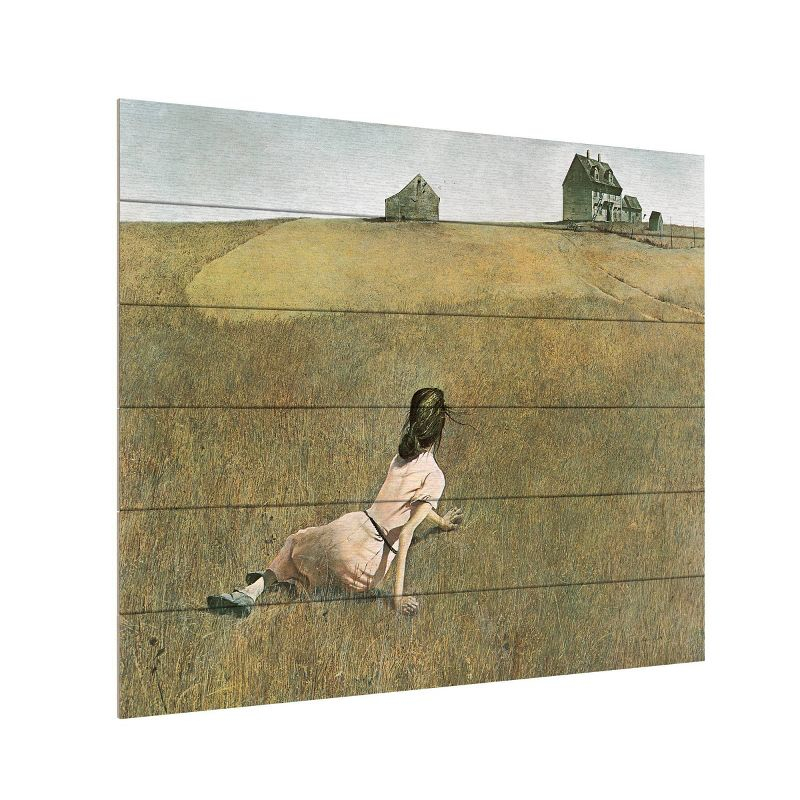 Trademark Fine Art 18"x22" Andrew Wyeth Christina's World Wood Slat Art: UV Ink, Ready to Hang