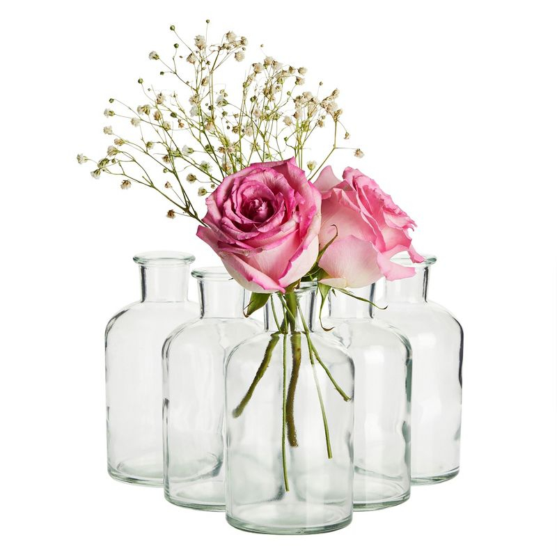 Juvale Farmlyn Creek 6-Pack Small Clear Vases for Centerpieces, Glass Jars for Stems, Flower Buds, Home Décor (2.8x5 In)