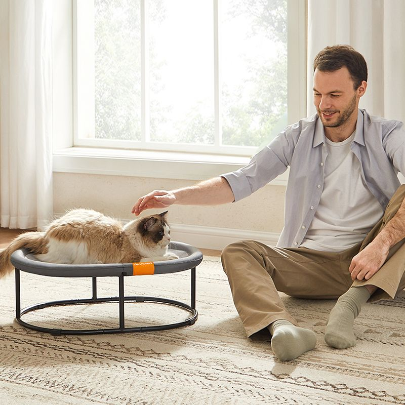 Feandrea Pet Bed, Cat Hammock, Elevated Cat Bed for Multiple Cats, with Removable Washable Mesh, for Pets up to 28 lb, Oval, Gray