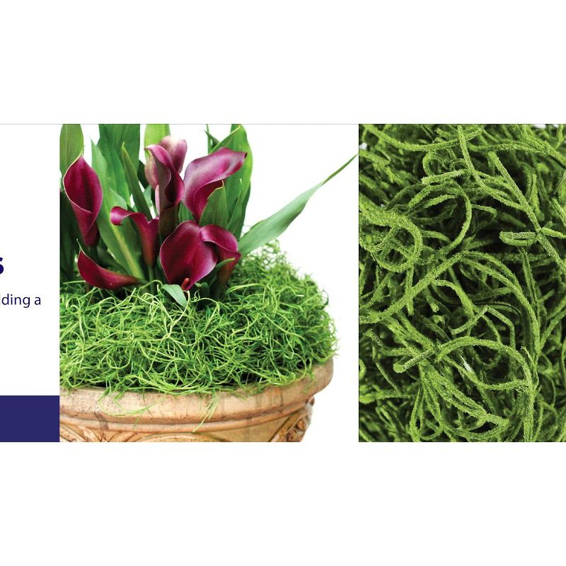 SuperMoss Preserved Spanish Moss: Natural Fill for Gift Baskets, Soil Cover, Orchid Decor - Online-Unique
