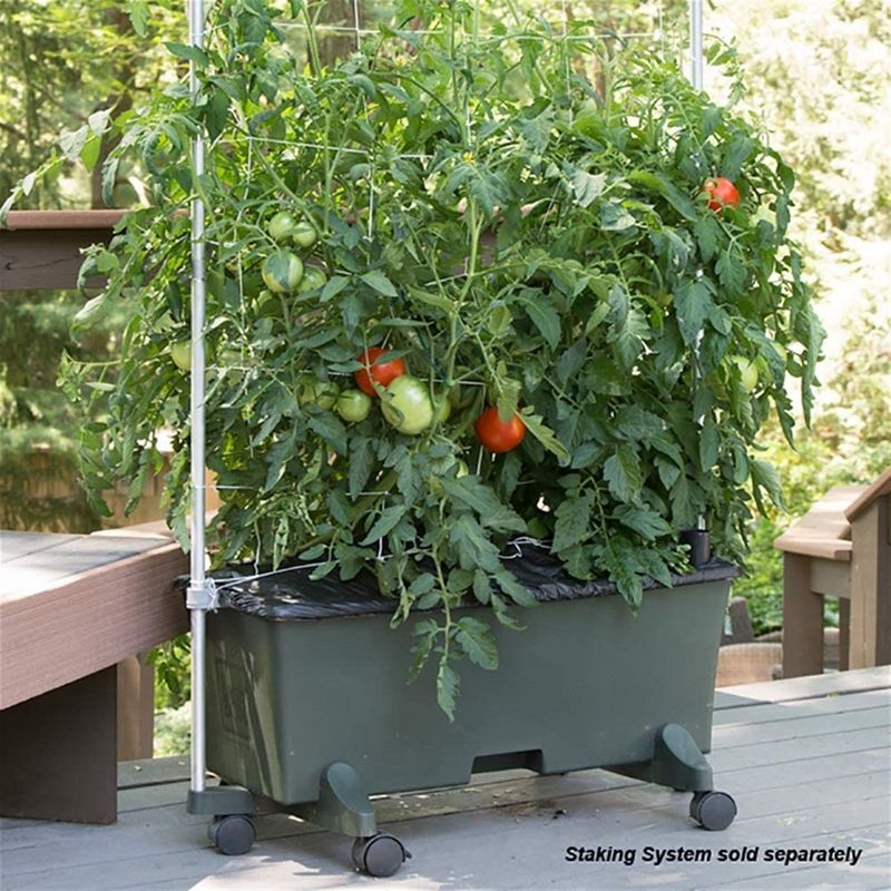 Novelty EarthBox Beginner Friendly, Self-Watering Growing System Garden Kit, Natural, Dark Green
