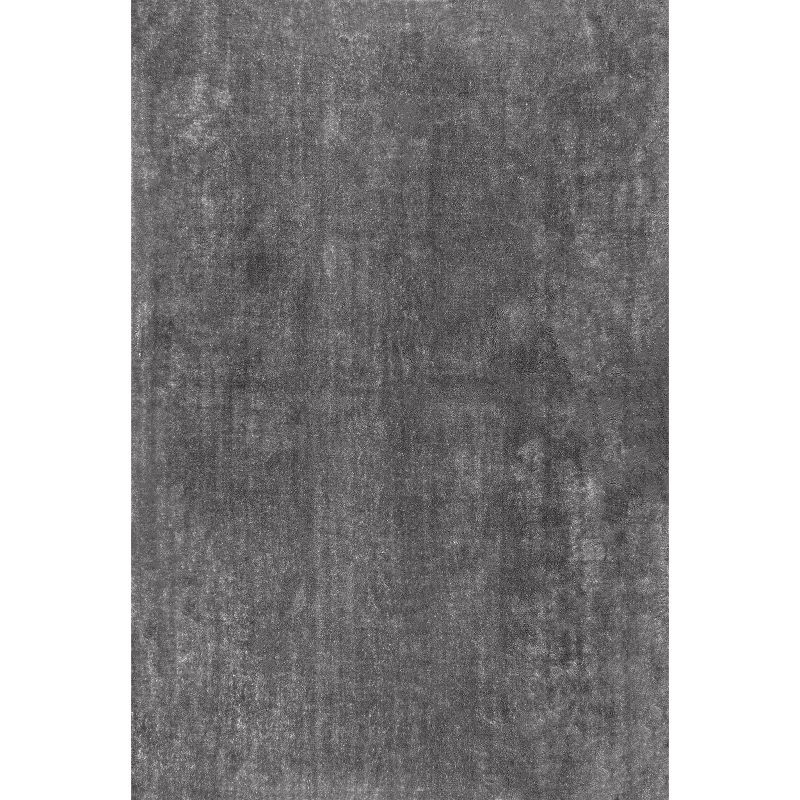 nuLOOM 2' x 3' Cozy Plush SuperiorWash Area Rug, Machine Washable, Non-Slip, Soft Fluffy Shag Carpet for Living Room Bedroom Nursery, Loni Dark Grey