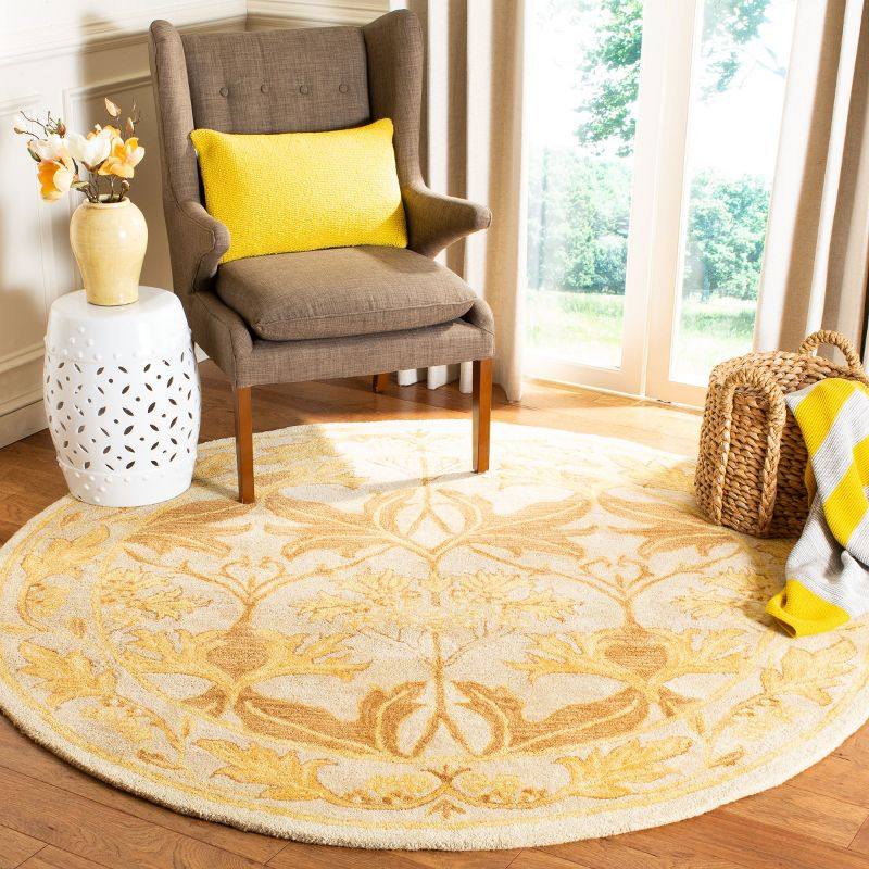 Anatolia AN541 Hand Tufted Indoor Area Rug - Beige/Gold - 6' Round - Safavieh