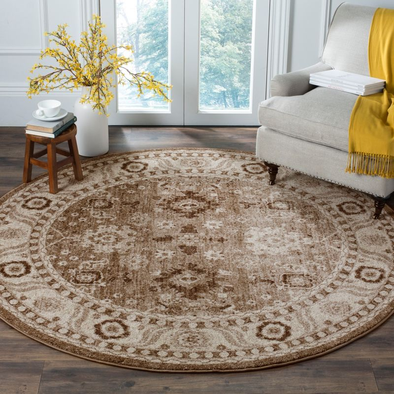 Vintage Hamadan VTH214 Power Loomed Area Rug - Taupe - 3' round - Safavieh.