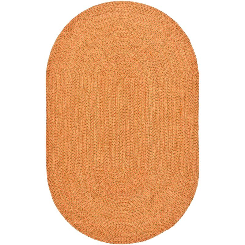 Braided BRD166 Hand Woven Indoor Area Rug - Multi - 5'x8' Oval - Safavieh
