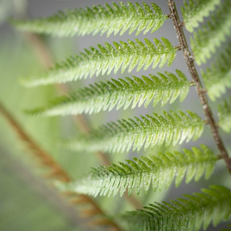 Sullivans Artificial 23.5" Fern Bush, Green