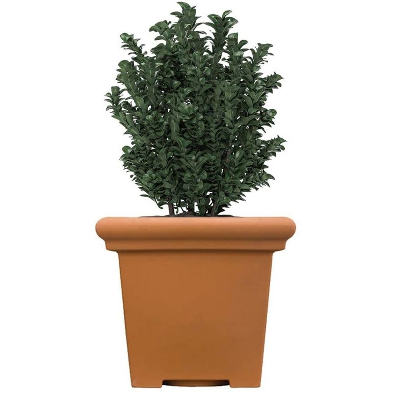 The HC Companies Terrazzo Plastic Square Planter, Terracotta, 20in