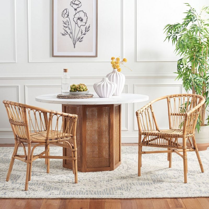Adriana Rattan Accent Chair - Set of 2 - ACH6505 - Honey Brown Wash - Safavieh