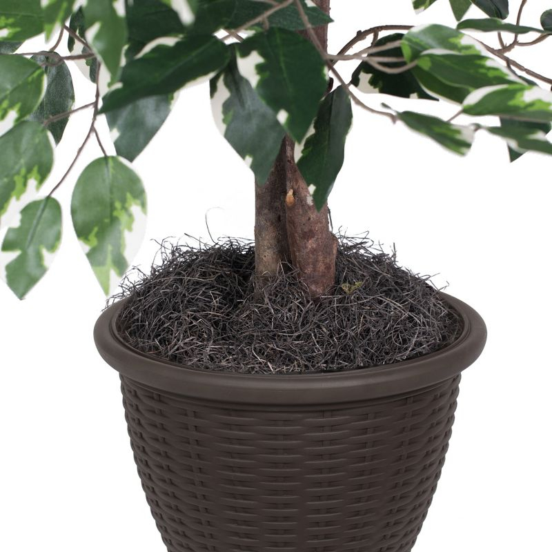 Vickerman 4' Artificial Variegated Ficus Bush, Rattan Basket In a 9"Lx9"Wx9.5"H base.