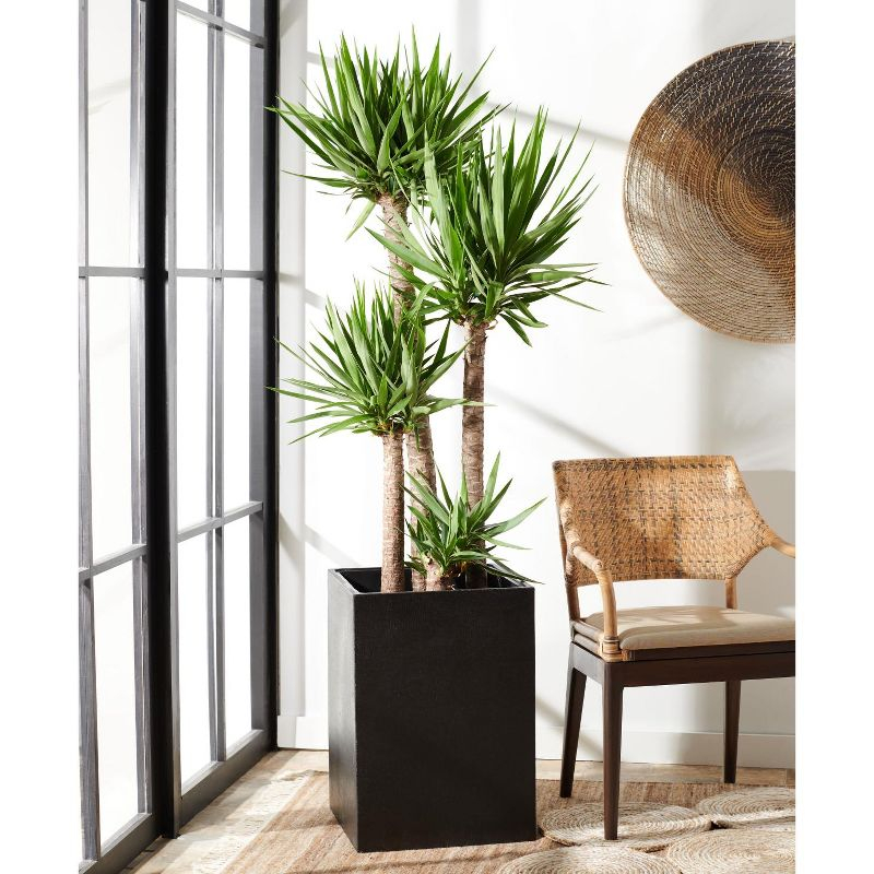 Kendri Planter - Indoor/Outdoor - PAT1521 - Black - Safavieh