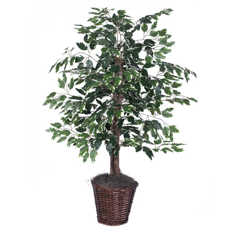 Vickerman 4' Artificial Variegated Ficus Bush, Rattan Basket In a 9"Lx9"Wx9.5"H base.
