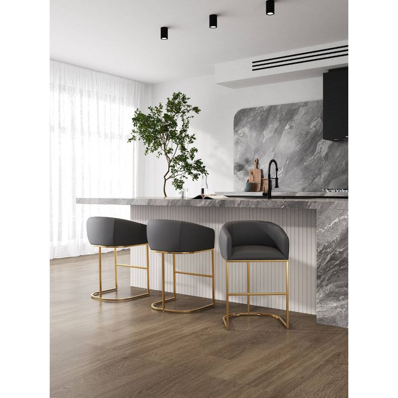 Louvre Upholstered Stainless Steel Barstool Gray - Manhattan Comfort: Faux Leather, Low Back, Armrest, Fixed Height