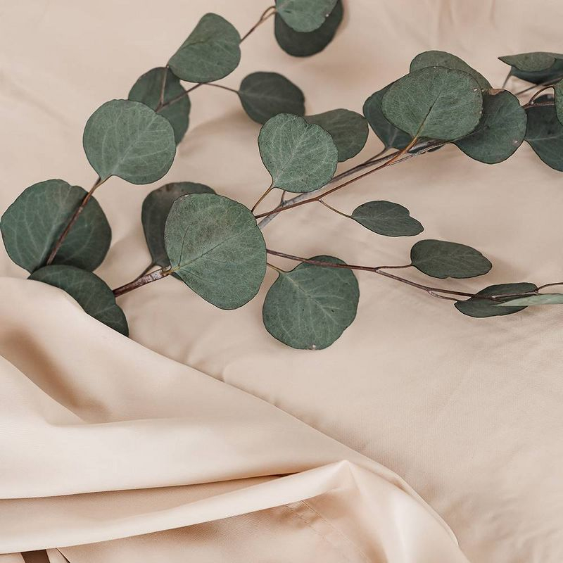 Eucalypso Standard 600 Thread Count Pillowcase Set Beige: Luxurious Sateen Weave, Soft Lyocell Fabric, Machine Washable