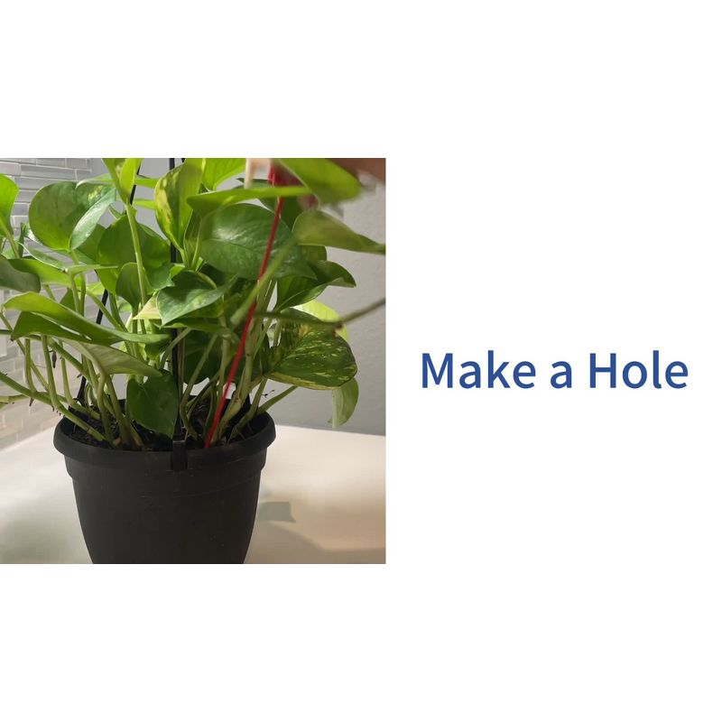 Lexi Home Self-Watering Plant Large Aqua Globes - Blue Green