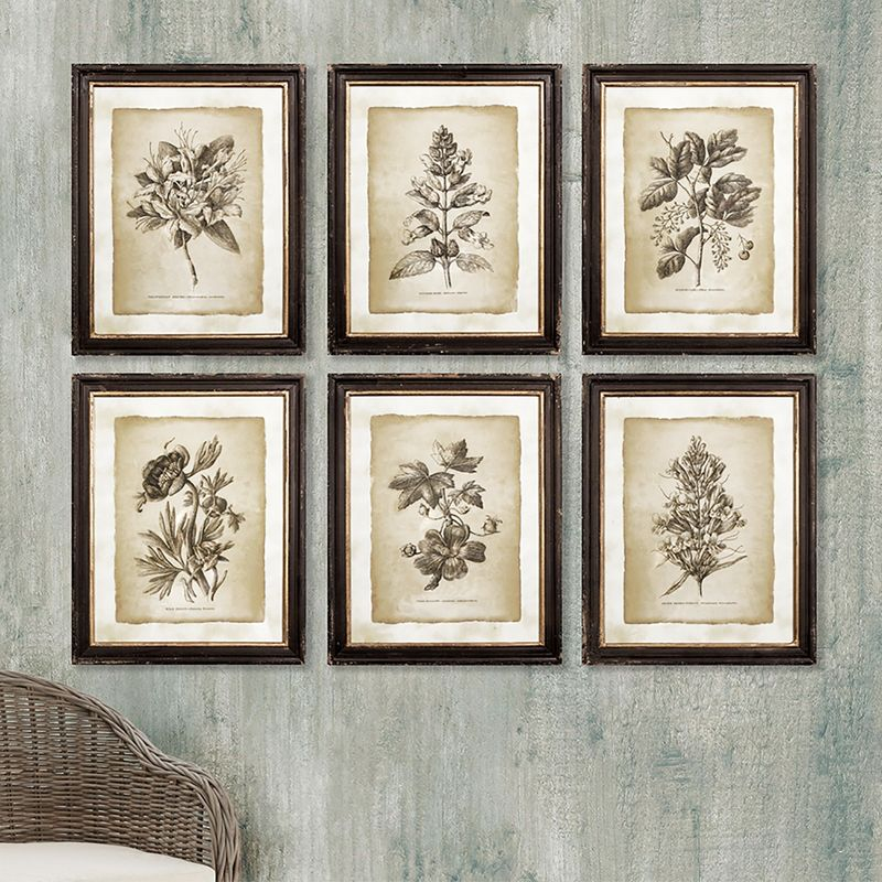 Plum & Post Framed Vintage Floral Prints Set of 6