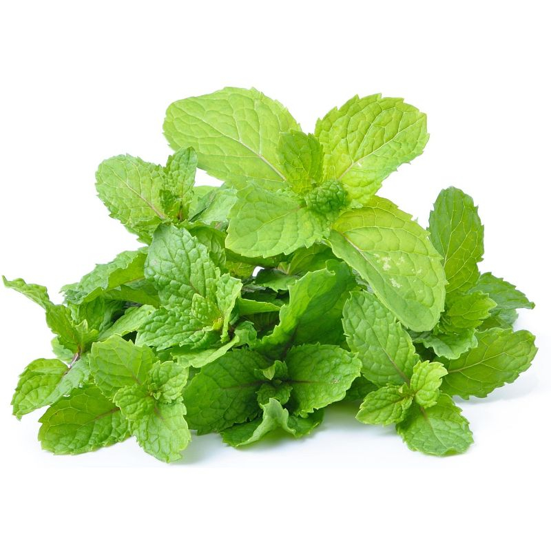 Fresh Mint (Pudina) Leaves - 1.5-2oz - Rani Brand Authentic Indian Products