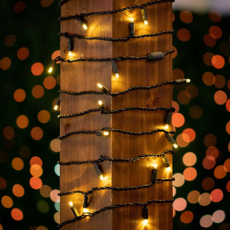 Novelty Lights 34 Feet Long, 100 Mini Black Wire Christmas Lights, Warm White, End To End Connectable, UL Listed for Indoor/Outdoor Use