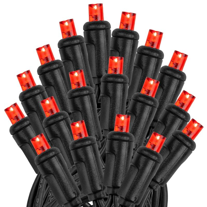 Novelty Lights Red 100 LED Christmas Mini Light Set (Black Wire, 34 Feet)