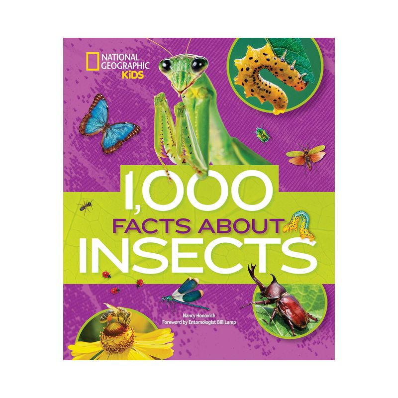 1,000 Facts about Insects - by  Nancy Honovich (Hardcover)