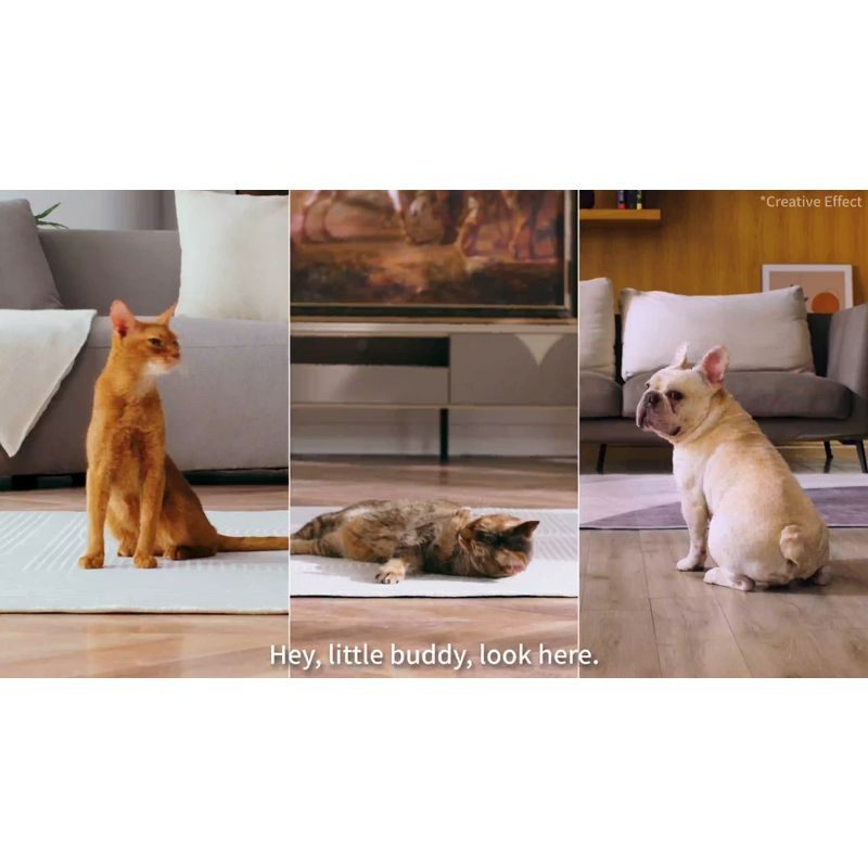 PETKIT 5L YumShare Dual-hopper Cat and Dog Automatic Feeder with Camera