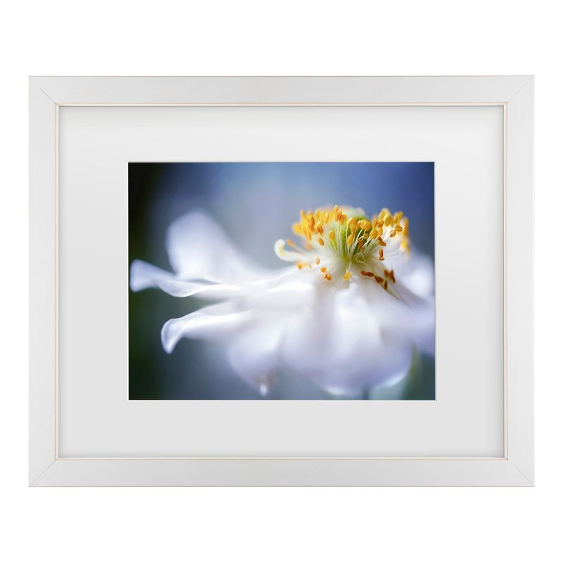 Trademark Fine Art - Mandy Disher Anemone 1 Matted Framed Art - 16x20