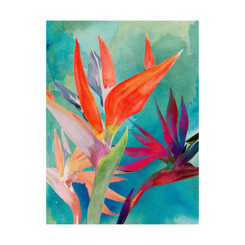 Trademark Fine Art -Jennifer Paxton Parker  'Vivid Birds Of Paradise I' Canvas Art - 19''x14''