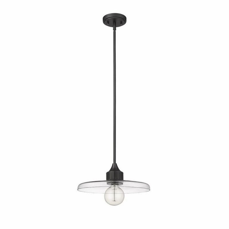 Z-Lite Paloma 1 - Light Pendant in  Matte Black