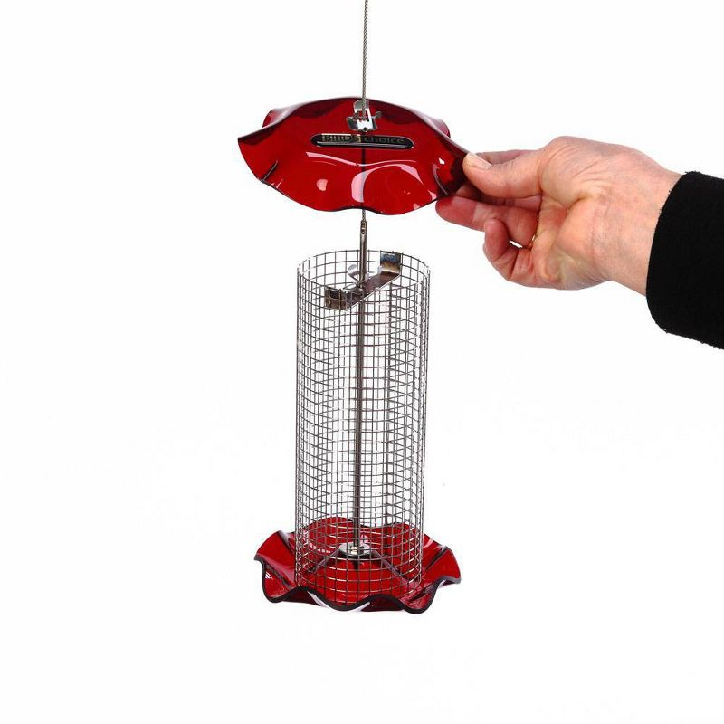 Birds Choice Small Sunflower Seed Forever Feeder with Stainless Steel Screen