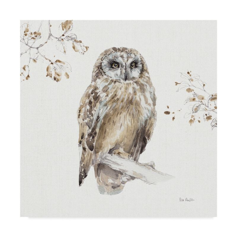 Lisa Audit 'Woodland Walk Viii Owl' Canvas Art - 14x14