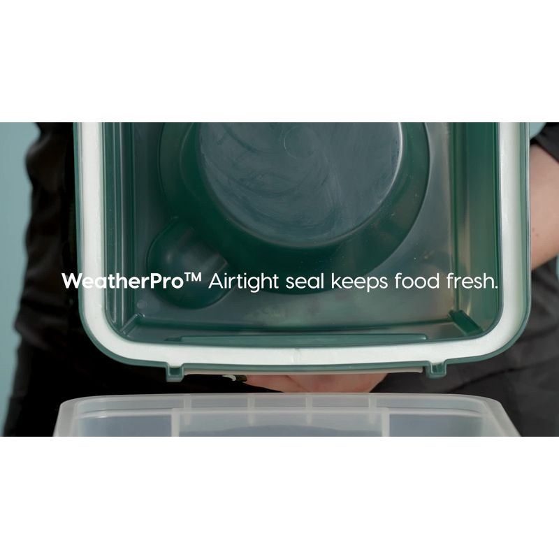 IRIS USA 13Lbs/12qt Medium Elevated Dog Food Bowl with Airtight Pet Food Storage Container, Black