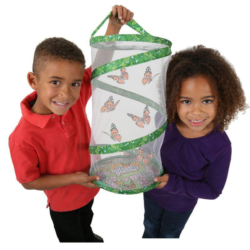 Insect Lore Giant Butterfly Garden® Deluxe Growing Kit - Stem Butterfly Kit w/ Live Caterpillars