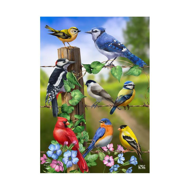 Country Birds Spring House Flag Goldfinches Blue Jay 28" x 40" Briarwood Lane