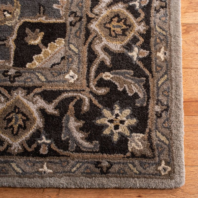 Royalty ROY700 Hand Tufted Indoor Area Rug - 6'x9' - Silver/Charcoal - Safavieh