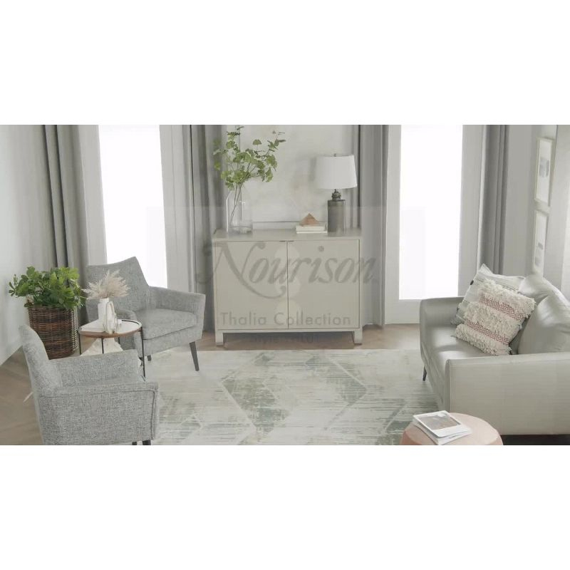 Nourison Thalia Distressed Contemporary Indoor Rug Grey Beige 5'3" x 7'3"