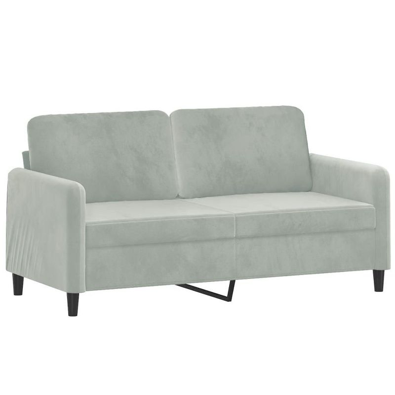 vidaXL 2 Piece Sofa Set in Light Gray Velvet - Comfortable Seating with Thick Padding and Durable Material for Living Room or Office Space