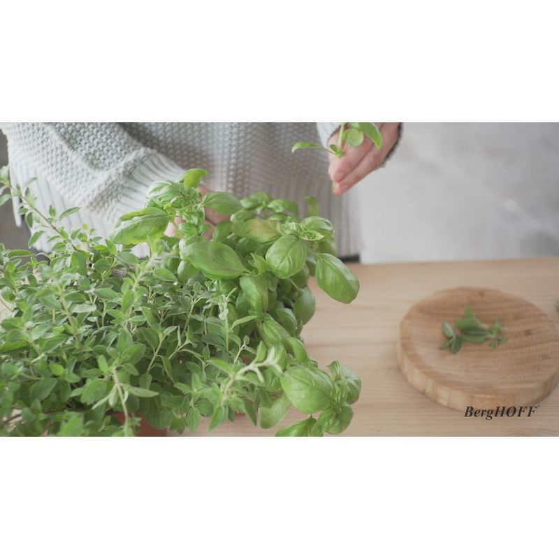 BergHOFF Leo 9" Soft Grip Ginger Grater, Blue