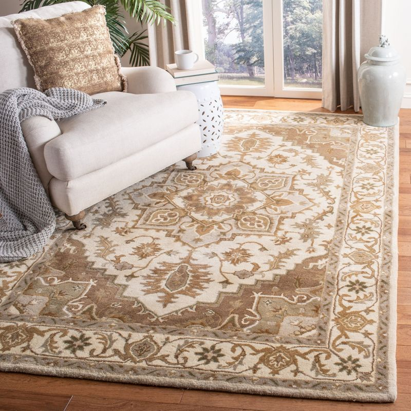 Royalty ROY700 Hand Tufted Indoor Accent Rug - 4'x6' - Beige/Sage - Safavieh