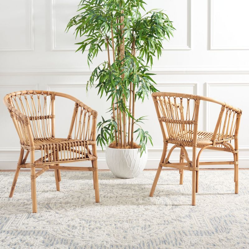 Adriana Rattan Accent Chair - Set of 2 - ACH6505 - Honey Brown Wash - Safavieh