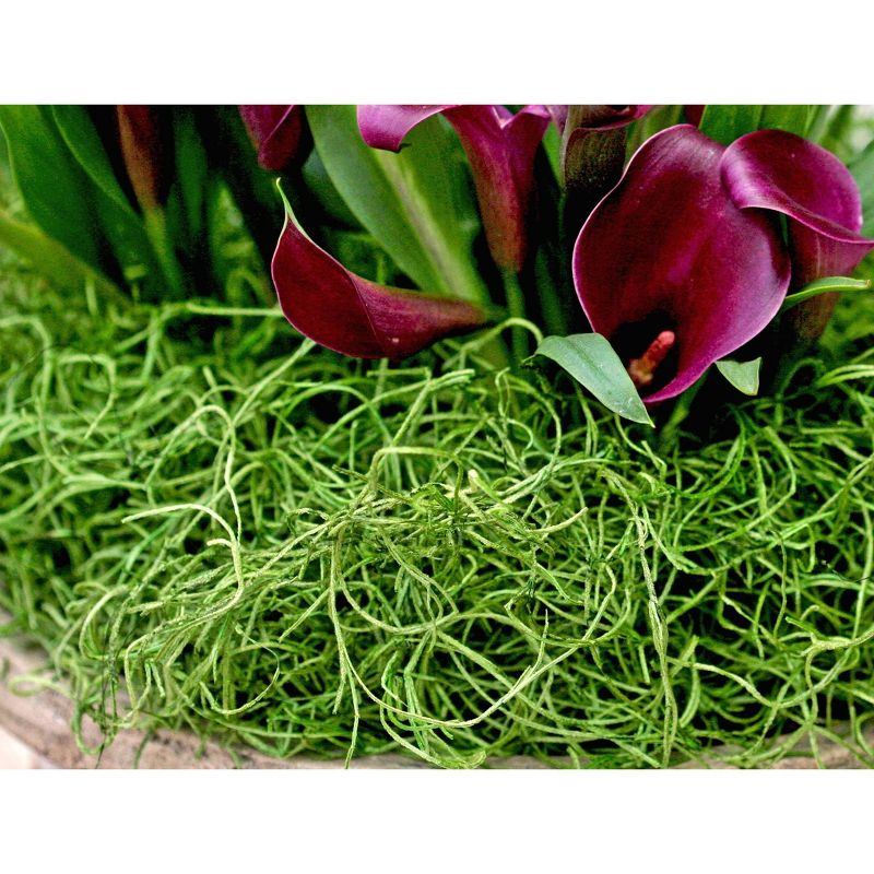 SuperMoss Preserved Spanish Moss: Natural Fill for Gift Baskets, Soil Cover, Orchid Decor - Online-Unique