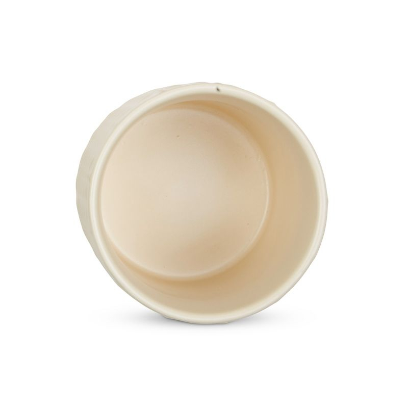 Design Imports Antique White Matte Retro Vine Texture Ceramic Canister Set/3