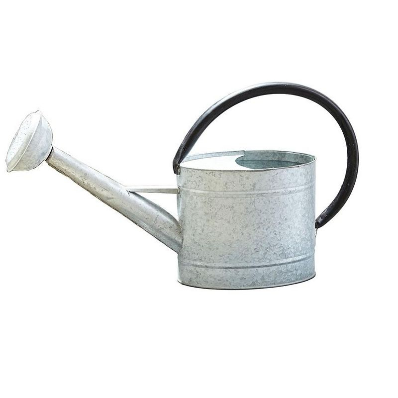 Tierra Garden 1.3-gal Oval Aged Zinc Watering Can