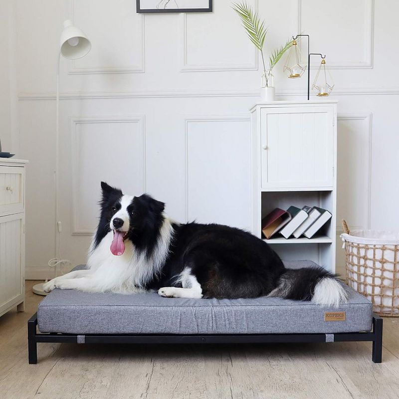 KOPEKS Elevated Foam Dog Bed - XL - Grey