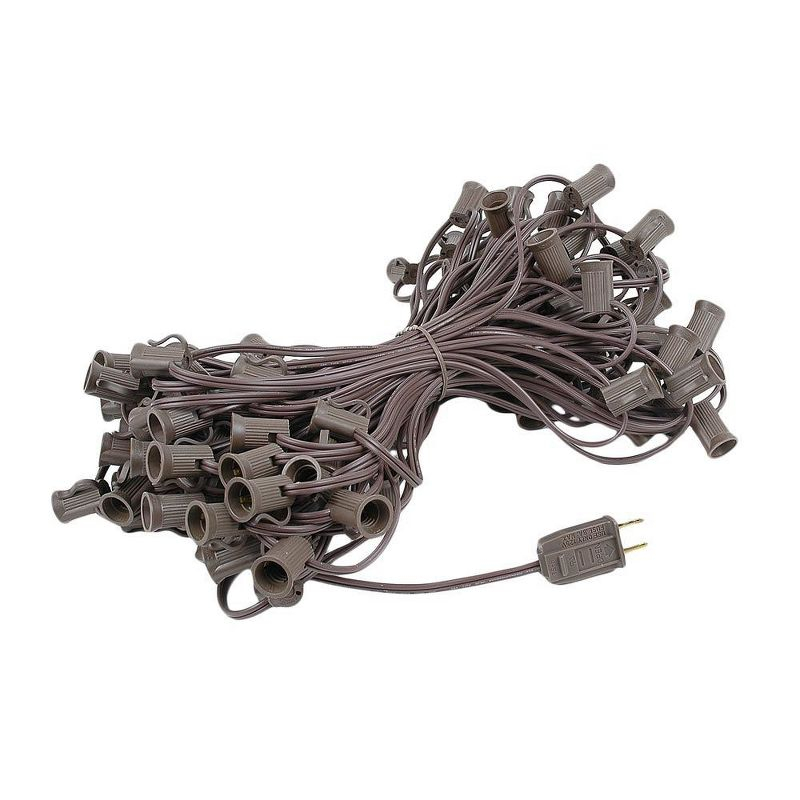 Novelty Lights 100 Feet Clear G40 Globe Outdoor Patio String Lights, Brown Wire