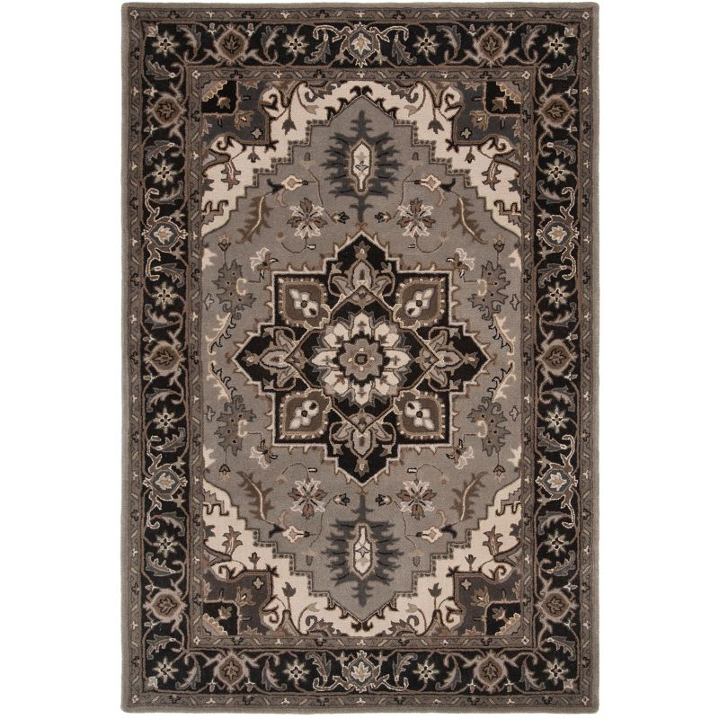 Royalty ROY700 Hand Tufted Indoor Area Rug - 6'x9' - Silver/Charcoal - Safavieh