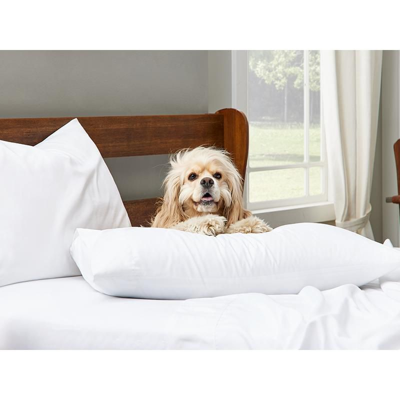 Cosy House Collection Luxury Rayon Derived from Bamboo Set of 2 Pillowcases - Cream, King